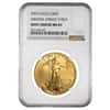 2003 1 oz $50 Gold American Eagle NGC MS 69 Mint Error (Multiple Errors)