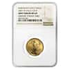 2007 W 1/4 oz $10 Burnished Gold American Eagle NGC MS 69 Mint Error