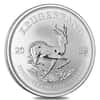 Roll of 25 - 2019 South Africa 1 oz Silver Krugerrand BU (Tube, Lot of 25)