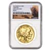2019 1 oz Gold American Buffalo NGC MS 70 Early Releases (Buffalo Label) 
