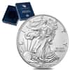 2018-W 1 oz Burnished Silver American Eagle (w/Box & COA)