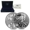 2013-W 1 oz Silver American Eagle 2-Coin Set (w/Box & COA)