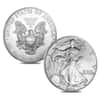 2006-W Gold & Silver Burnished American Eagle 20th Anniversary 2-Coin Set (w/Box & COA)
