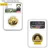 1/2 oz Chinese Gold Panda NGC / PCGS MS 70 (Random Year)