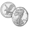 2026-P 1 oz Proof Silver American Eagle Congratulations Set (w/Box & COA)