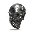 2 oz Skull Cast Silver Bullion Exchanges .999 Fine Silver