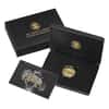 2021 W 1 oz $100 American Liberty High Relief Gold Coin (w/Box & COA)