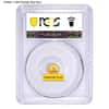 1 Gram Chinese Gold Panda NGC / PCGS MS 70 (Random Year)