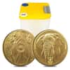 2022 South Africa 1 oz Big Five Elephant Gold Coin .9999 Fine BU