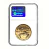 2001 1 oz $50 Gold American Eagle NGC MS 69