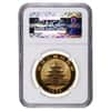1993 1 oz China Gold Panda 100 Yuan NGC UNC Details