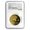 1989 1 oz Gold China Panda 100 Yuan NGC MS 64 (Large Date)