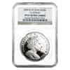 2009 Isle of Man 1 oz Platinum Angel NGC PF 67 UCAM