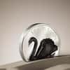 2023 Cook Islands 2 oz Proof Silver Black Swan Coin