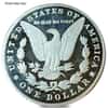 US Mint Modern Morgan/Peace Silver Dollar .999 Fine Scruffy (Random Year)