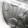 2017 1 oz Silver American Eagle NGC MS 69 ER Mint Error (Obverse Struck Thru) #2