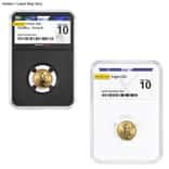 1/10 oz $5 Gold American Eagle NGCX MS 10 (Random Year)