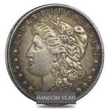 1878-1904 Morgan Silver Dollar XF (Random Year)