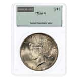 1921-1935 Peace Silver Dollar $1 PCGS MS 64 Rattler Holder (Random Year)