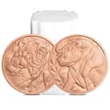 Tube of 20 - 1 oz Bull & Bear Copper Round .999 Fine