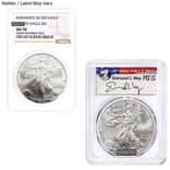 1 oz Burnished Silver American Eagle NGC/PCGS MS/SP 70 (Random Year)