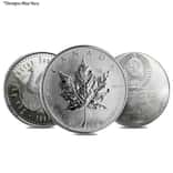 1 oz Palladium Coin Random Mint .9995 Fine (Scruffy)