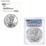 1 oz Burnished Silver American Eagle NGC/PCGS MS/SP 69 (Random Year)