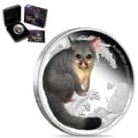2013 1/2 oz Silver Australian Bush Babies Possum Proof Coin Perth Mint