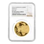 2016 Cameroon 1/2 oz Buffalo Big Five 2000 Francs Proof Gold Coin NGC PF 70 UCAM