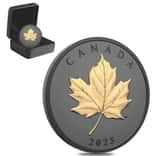 2025 Canada 1 oz Elegant Maple Gilded Silver Coin .9999 Fine