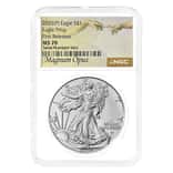 2025 Eagle Privy 1 oz Silver American Eagle NGC MS 70 FR Magnum Opus