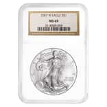 2007-W 1 oz Burnished Silver American Eagle NGC MS 69