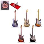 2024 PAMP 1 oz Silver Fender® Stratocaster® Guitar Coin Mystery Box