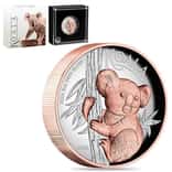 2024 5 oz Australian Koala Proof Gilded Silver Coin Perth Mint