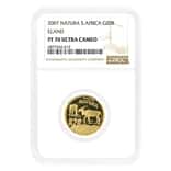 2007 South Africa 1/4 oz Gold Eland 20 Rand NGC PF 70 UCAM