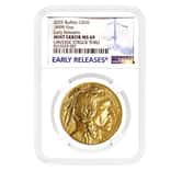 2025 1 oz Gold American Buffalo NGC MS 69 ER Mint Error