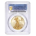 2020-W V75 Privy 1 oz Proof Gold American Eagle PCGS PF 69 FS End of WWII 75th Anniv