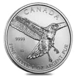 2015 1 oz Silver Canadian Red-Tailed Hawk - Birds of Prey Series BU