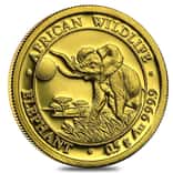 2016 Somalian 1/2 gram Gold African Elephant BU 20 Shillings (In Capsule)