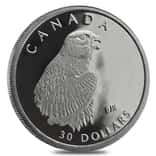 1996 1/10 oz $30 Canada Proof Platinum Peregrine Falcon Coin