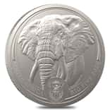 2020 South Africa 1 oz Platinum Big Five Elephant Coin BU