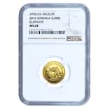 2016 Somalia 1/10 oz Gold African Elephant NGC MS 68