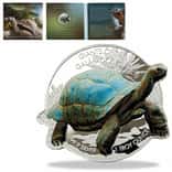 2021 1 oz Colorized Silver Galapagos Tortoise Solomon Islands $2 Coin .9999 Fine (w/Box & COA)