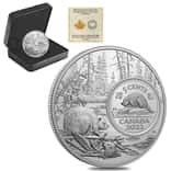 2022 Canada 5 oz Proof Silver The Bigger Picture - The Beaver 5C Coin .9999 Fine (w/Box & COA)