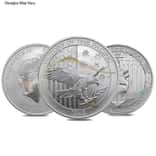 1/2 oz Silver Coin Random Mint (Milky, Scruffy, Toned)