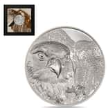 2023 Mongolia 1 oz Proof Silver Wild Mongolian Falcon Coin .999 Fine