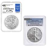 MILKY - 1 oz Burnished Silver American Eagle NGC/PCGS MS/SP 70 (Random Year)