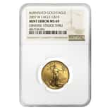 2007 W 1/4 oz $10 Burnished Gold American Eagle NGC MS 69 Mint Error