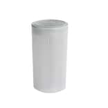 Austrian Mint Empty Tube