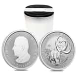 Tube of 14 - 2024 Canada 2 oz Ice Age Woolly Mammoth Silver Coin BU